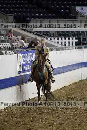 Proof Number 10r13_5045