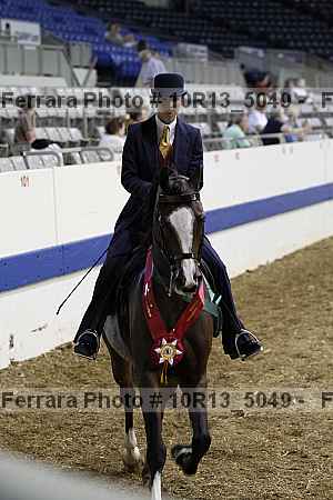 Proof Number 10r13_5049