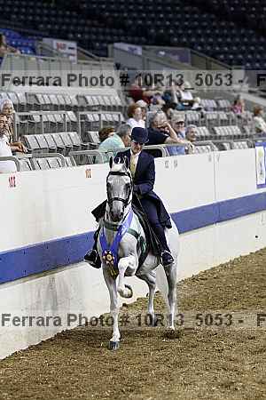 Proof Number 10r13_5053