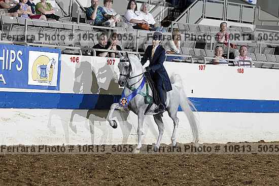 Proof Number 10r13_5055