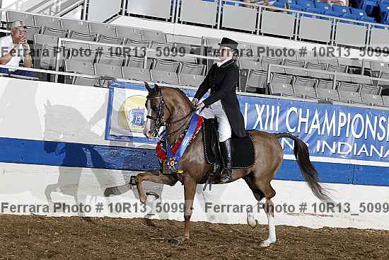 Proof Number 10r13_5099