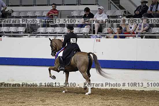 Proof Number 10r13_5100