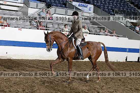 Proof Number 10r13_5105
