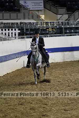 Proof Number 10r13_5131