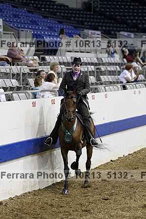 Proof Number 10r13_5132