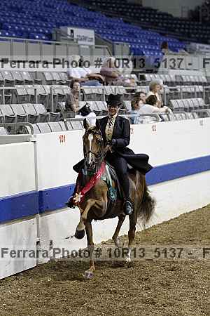 Proof Number 10r13_5137