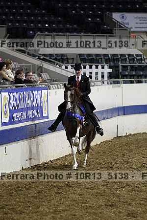 Proof Number 10r13_5138