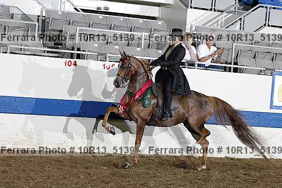 Proof Number 10r13_5139