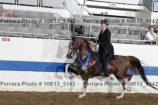 Proof Number 10r13_5142