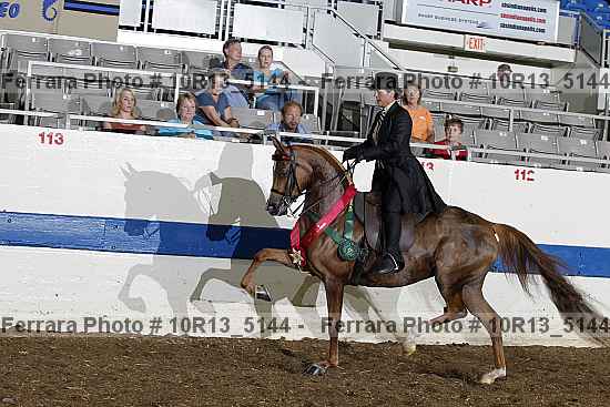 Proof Number 10r13_5144