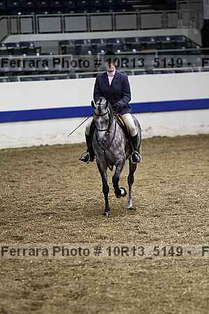 Proof Number 10r13_5149