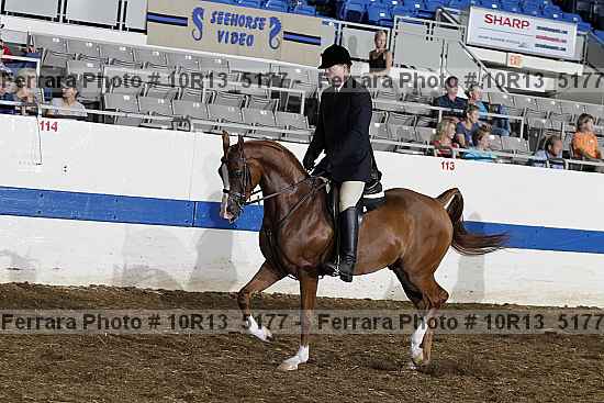 Proof Number 10r13_5177