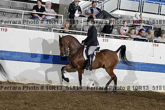 Proof Number 10r13_5181