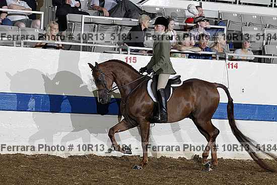 Proof Number 10r13_5184