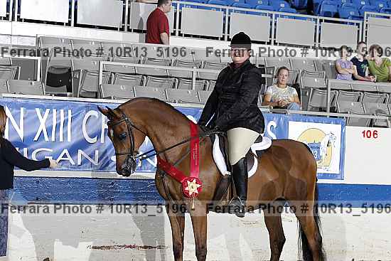 Proof Number 10r13_5196