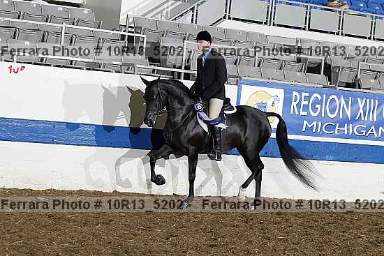 Proof Number 10r13_5202