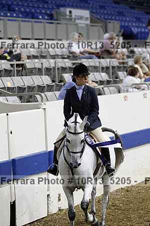 Proof Number 10r13_5205