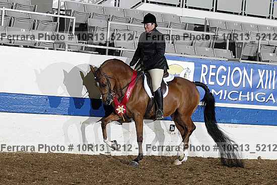 Proof Number 10r13_5212