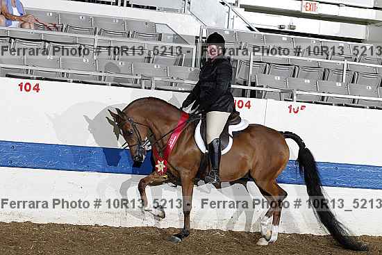 Proof Number 10r13_5213