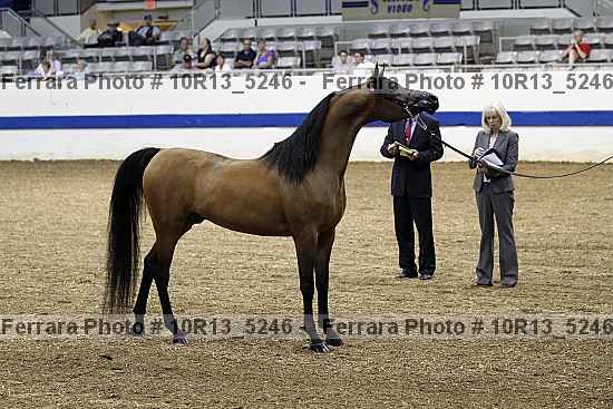 Proof Number 10r13_5246