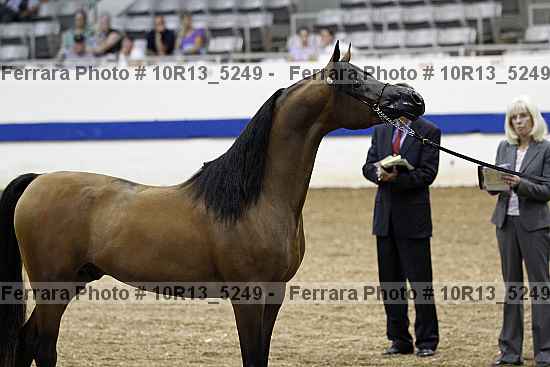 Proof Number 10r13_5249