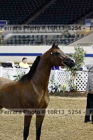 Proof Number 10r13_5254