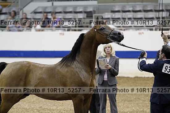 Proof Number 10r13_5257