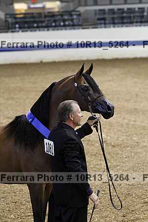 Proof Number 10r13_5264