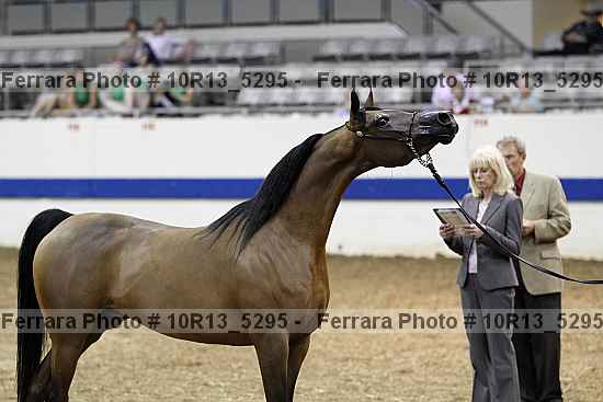 Proof Number 10r13_5295
