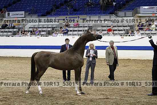 Proof Number 10r13_5301