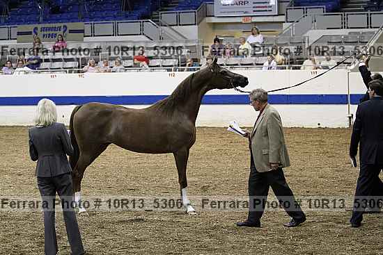 Proof Number 10r13_5306