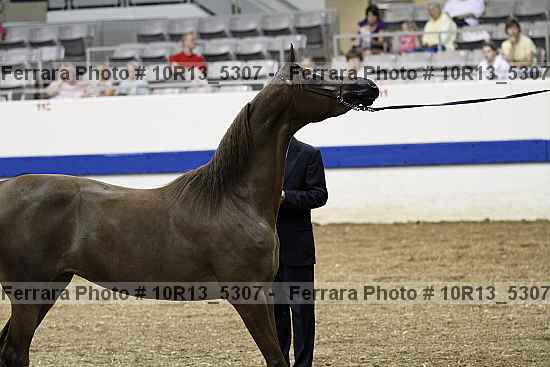 Proof Number 10r13_5307