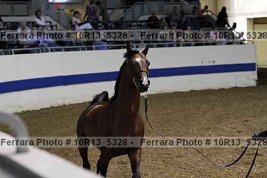 Proof Number 10r13_5328