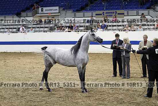 Proof Number 10r13_5351