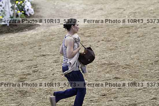 Proof Number 10r13_5373