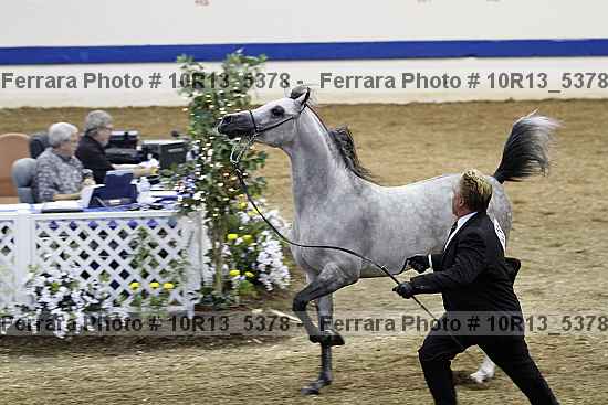 Proof Number 10r13_5378