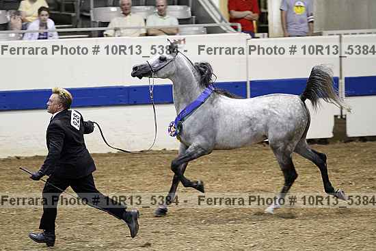 Proof Number 10r13_5384