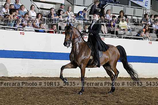 Proof Number 10r13_5435