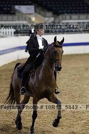 Proof Number 10r13_5442