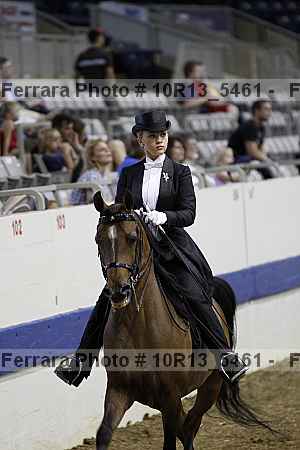 Proof Number 10r13_5461