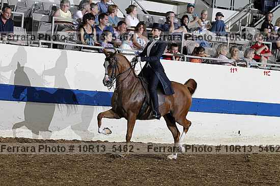 Proof Number 10r13_5462