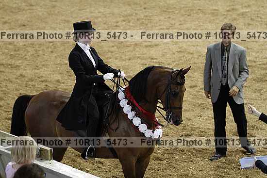 Proof Number 10r13_5473