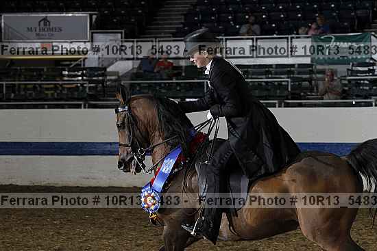 Proof Number 10r13_5483