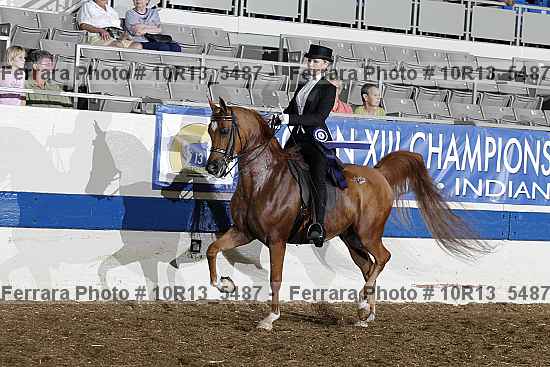 Proof Number 10r13_5487