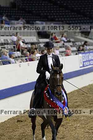 Proof Number 10r13_5503