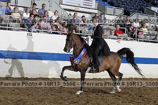 Proof Number 10r13_5508