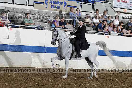 Proof Number 10r13_5510