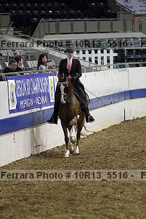 Proof Number 10r13_5516