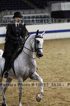 Proof Number 10r13_5530
