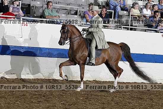 Proof Number 10r13_5538